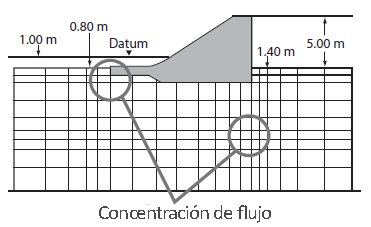 Mallado de Simulación - Concentración de Flujo