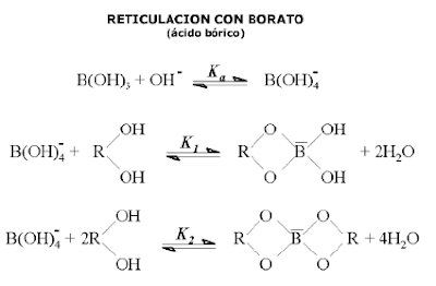 fluidos para fracturamiento hidráulico reticulación borato