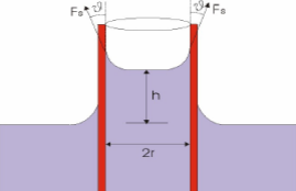 Gas Condensado - Fenómenos de Capilaridad