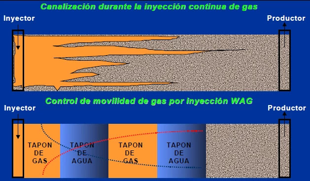 Efecto del AGA en el control de Movilidad (M).