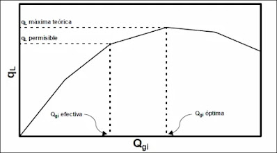 Comportamiento de ql vs Qgi en pozos de levantamiento por Gas Lift
