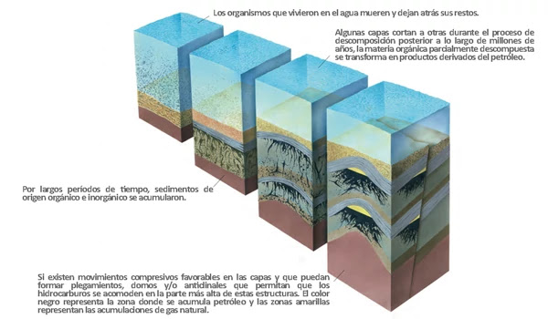 Esquemático de la formación de la materia orgánica.